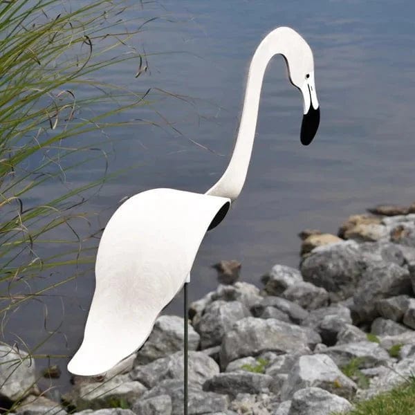 Flamant Dansant