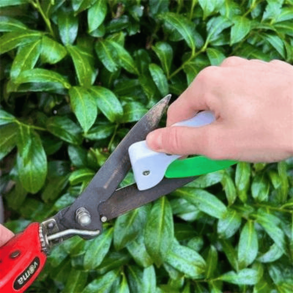 Affûteur d'outils à lame