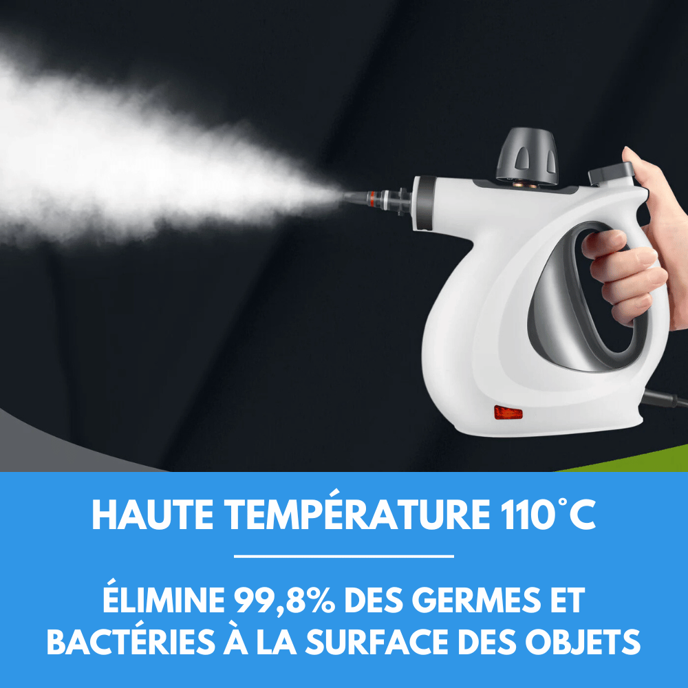 Nettoyeur à vapeur A80