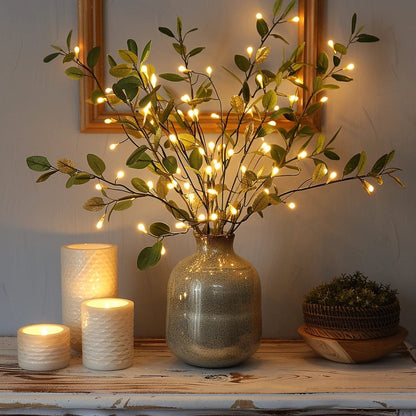 Branche d'Olivier Lumineuse