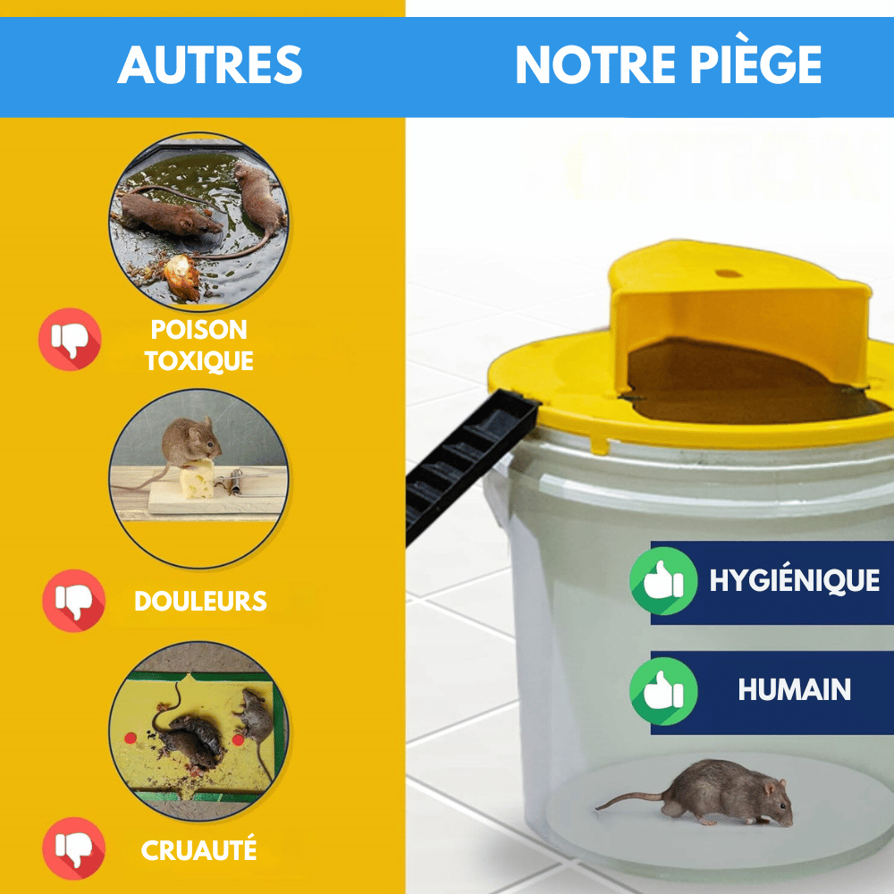 Piège à souris