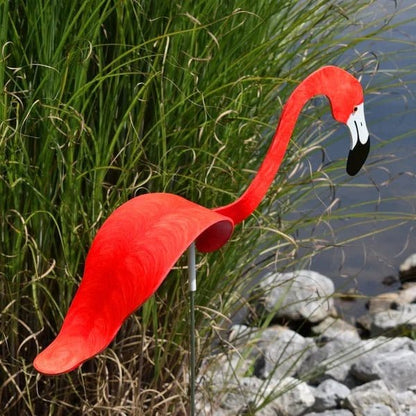 Flamant Dansant