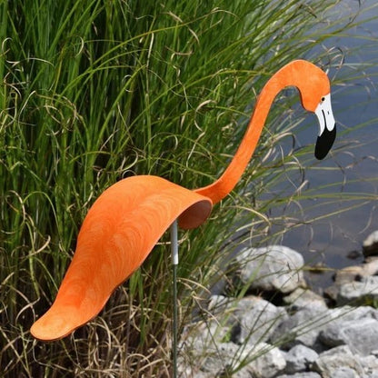 Flamant Dansant