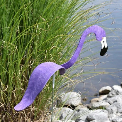 Flamant Dansant