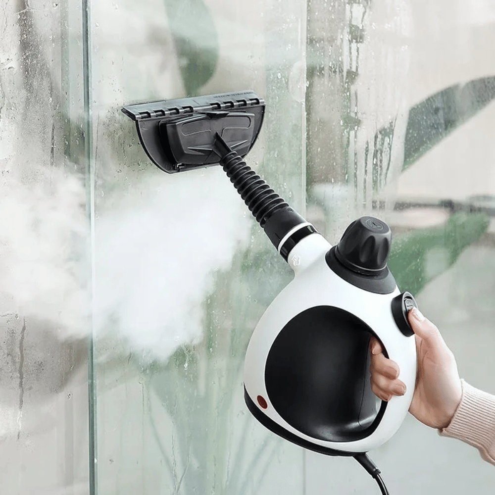 Nettoyeur à vapeur A80