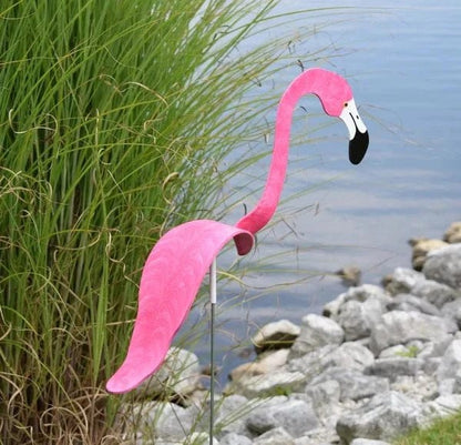 Flamant Dansant